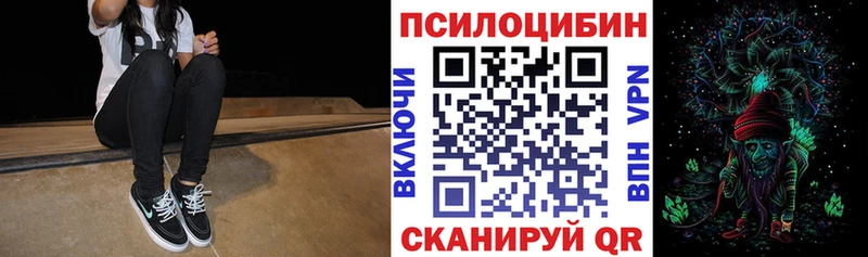 Псилоцибиновые грибы мицелий дарнет шоп Малаховка